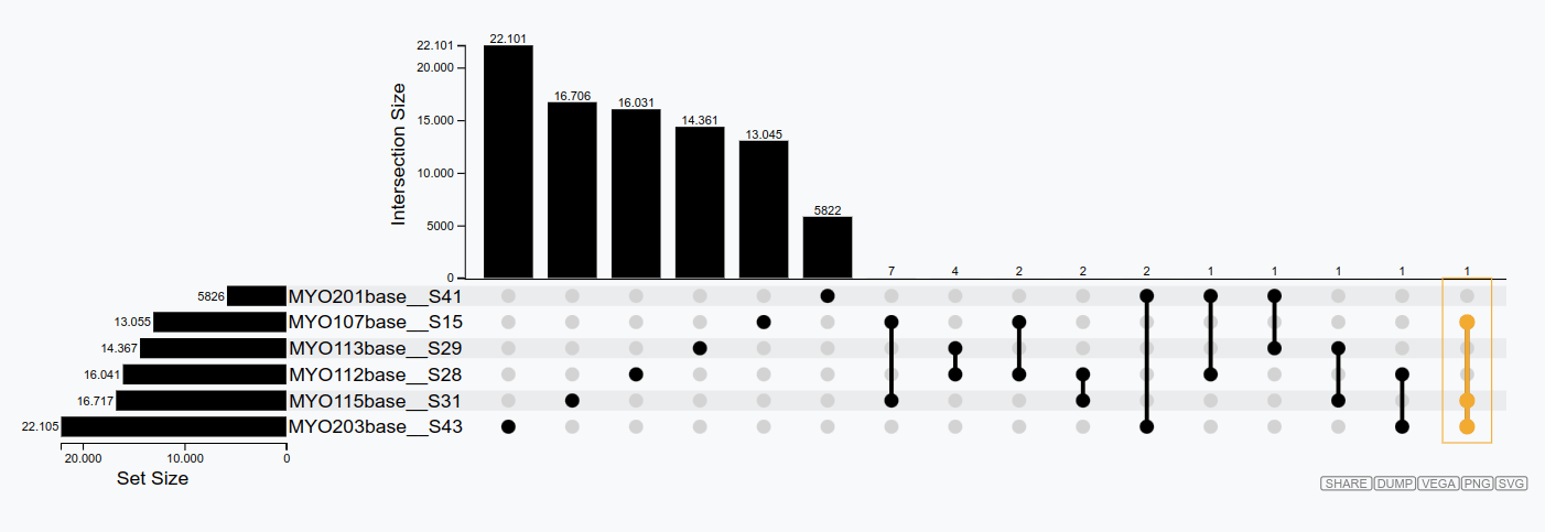 Tab 5.Clonal exploration. Upset plot displaying the shared BCR clones across six samples. Highlighted in yellow, a shared clone between samples. The selected clone is highlighted accordingly in the other plots.